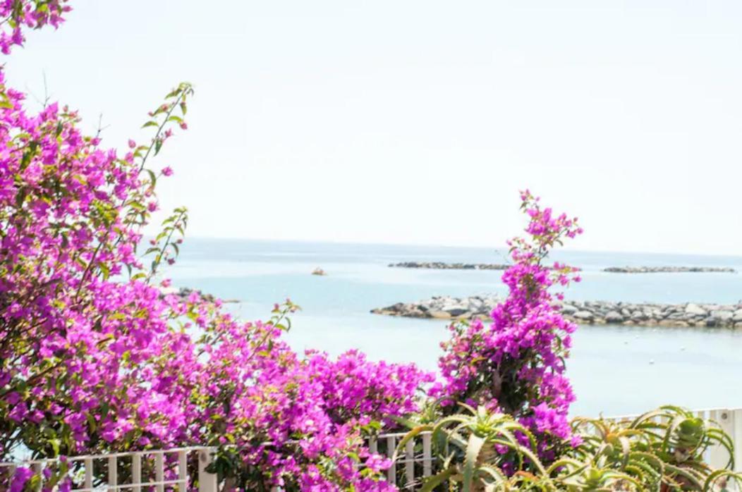 Giardino In Citta; Centralissimo San Remo Buitenkant foto